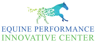Performance Equine Veterinary Services